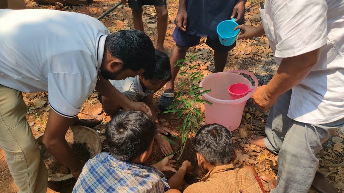 Plantation Program Supports Environmental Sustainability